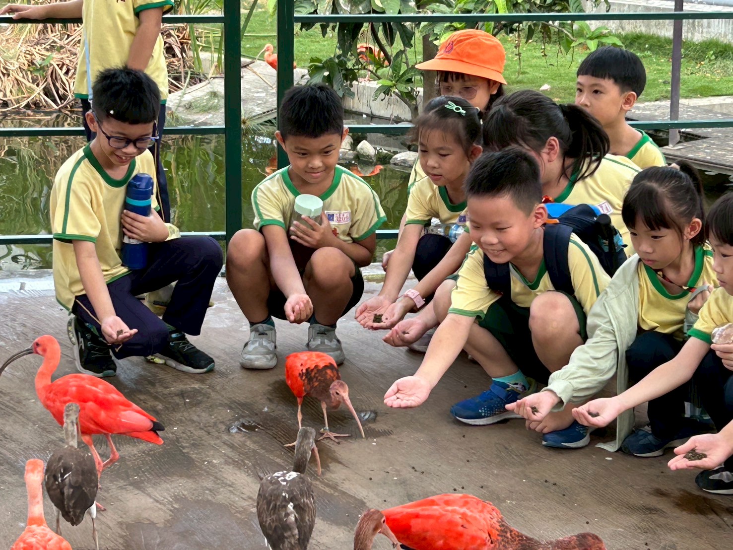 114.10.21三年級九九峰另開新視窗